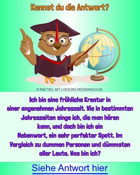 32 Idiotentest Fragen Und Antworten-Ideen in 2021 | rätsel für kinder