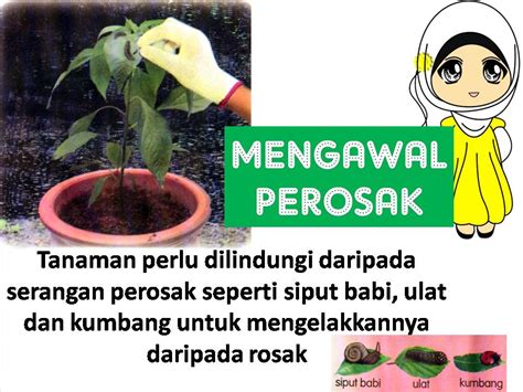 Bahan kalis air · menghalang kebasahan. REKEBENTUK DAN TEKNOLOGI: TEKNOLOGI PERTANIAN TAHUN 5