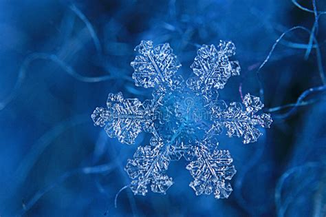 We would like to show you a description here but the site won't allow us. Shiny Snowflake Crystal Stock Photo - Image: 62366712