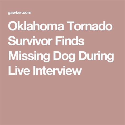 Oklahoma Tornado Survivor Finds Missing Dog During Live Interview