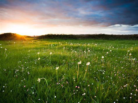 Sunset Over Meadow Stock Image Image Of Spring Green 19708661