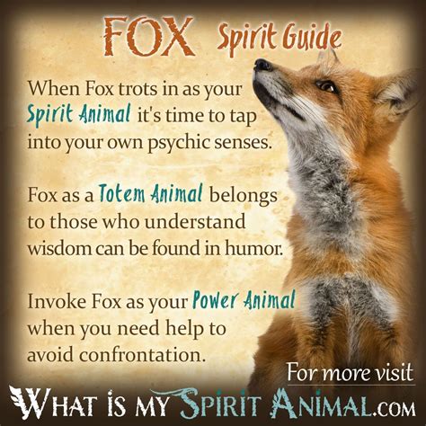 How To Find Your Spirit Animal The Complete Guide
