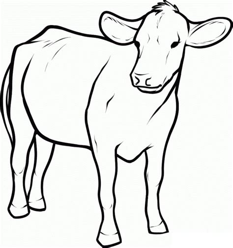 Get This Cow Coloring Pages Free Printable Baby Cow