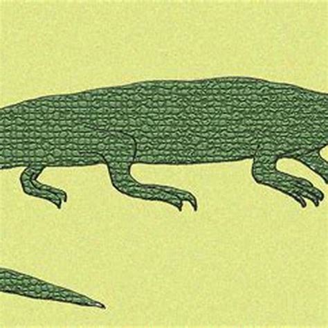 Are amphibians anapsid? - DIY Seattle
