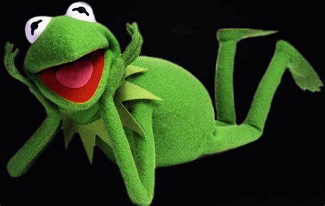 Kermit The Frog Funny Quotes Quotesgram