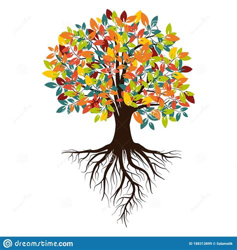 Autumn Silhouette Of A Tree With Colored Leaves Tree With Roots
