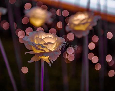 Film semi korea full movie| wik wik. Bokeh Korea / Bokeh korea meaning asli mp3 trendsmap no sensor - Blink bokeh full jpg offline ...
