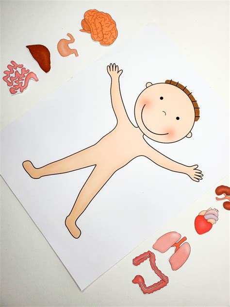 Preschool Printables Body