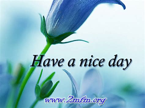 Yes, have a nice day can be said in the evening too. Download Have A Nice Day HD Wallpaper Gallery