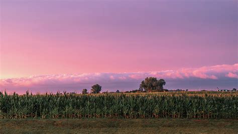 Corn Field Sunset Photograph By Bella B Photography Pixels