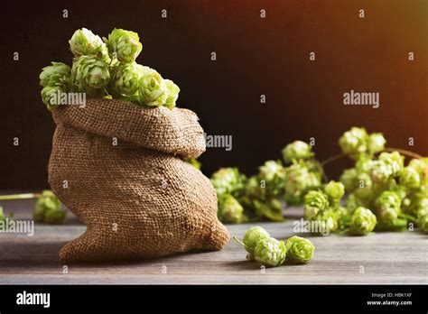 Sack Of Hops Hi Res Stock Photography And Images Alamy