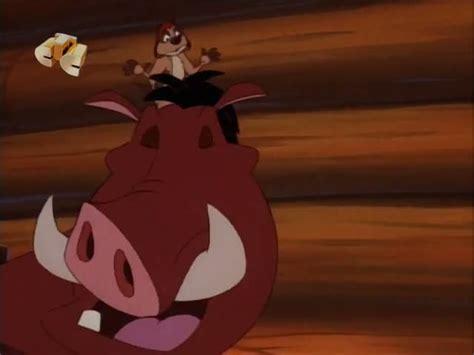 Тимон и Пумба Timon And Pumbaa 1 сезон 12 серия смотреть онлайн