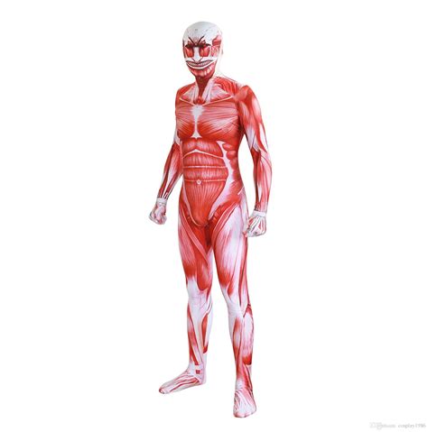 Located immediately below the skin) muscles of the body. Pin on human anatomy organs