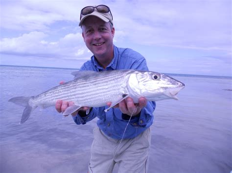 Fly Odyssey Newsletters Mexico Fly Fishing Report By Mike Bilson
