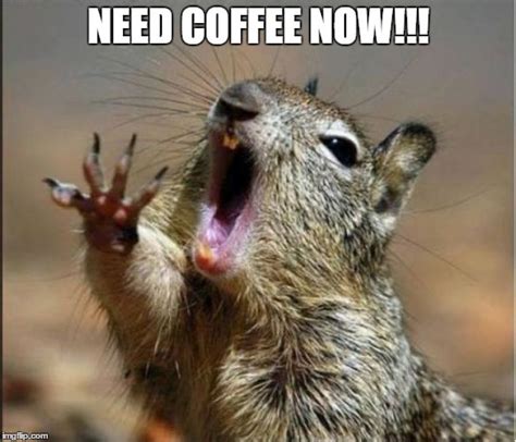 I only need coffee on days end. 20 Funny Memes For Coffee Lovers | SayingImages.com