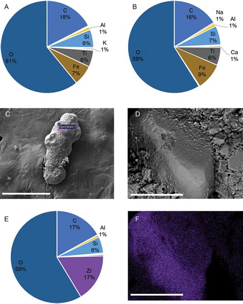 Elemental Composition Of Benthic Foraminiferal Agglutinated Tests