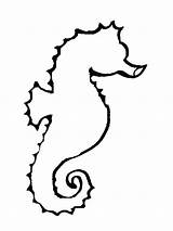 Outline Seahorse Drawing Coloring Horse Clipart Starfish Clip Sea Drawings Seahorses Easy Grasshopper Template Cliparts Draw Cartoon Step Bear Printable sketch template