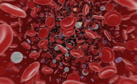 Leukemia Blood Cancer Health And Disease