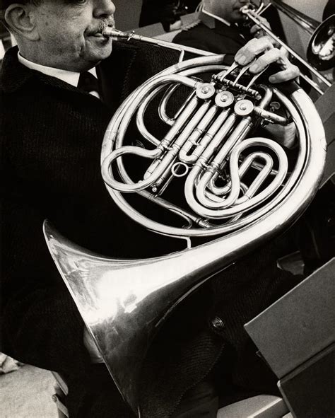 Person Playing French Horn