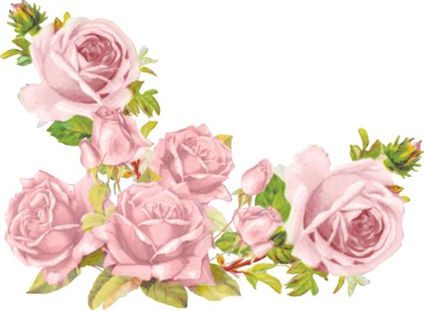 Aesthetic Flowers Transparent Background Png