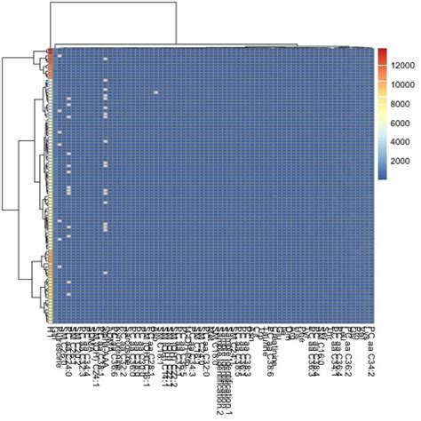 Data Science Improving My Heatmap In R After Error Pheatmap Stack Overflow