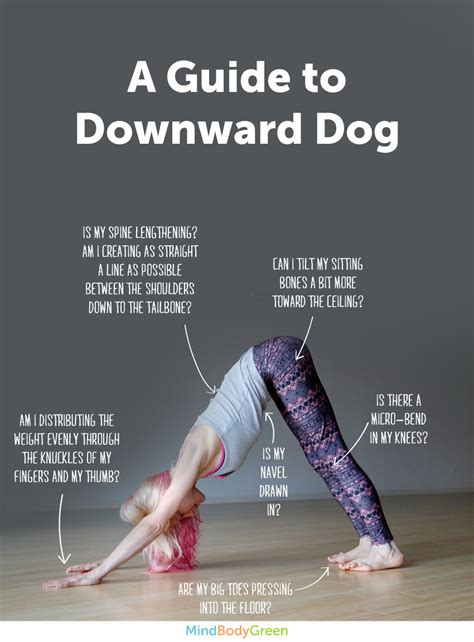 6 Steps To Downward Dog Infographic