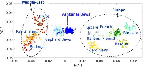 Ashkenazi Jews And Dna An Interesting Fact Genoplot