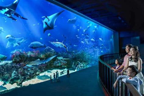 Beste Eintrittskarten Sea Aquarium 2024 Kostenlos Stornierbar