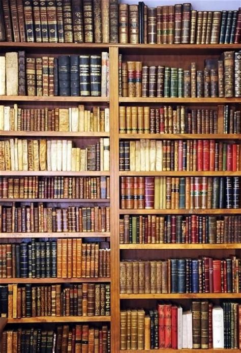 Vintage Bookshelf Library Fabric Photography Backdrop Prop In