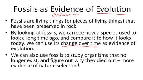 Evidence For Evolution Ck 12 Foundation