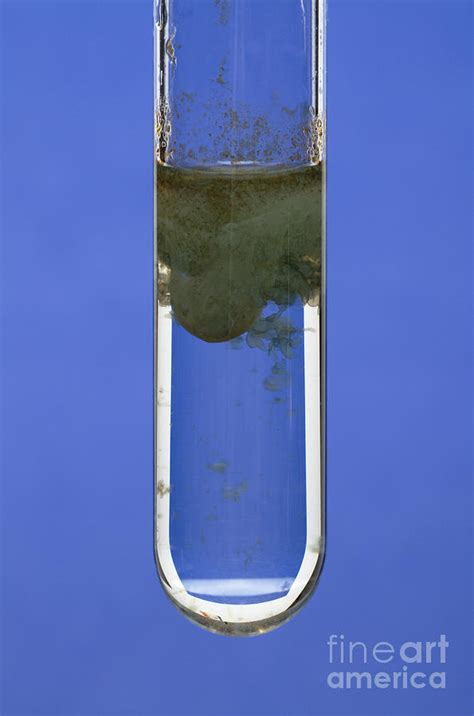 Iron Ii Hydroxide Precipitate Photograph By Giphotostock Fine Art America