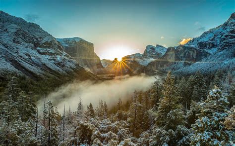 Download Wallpapers Mountain Landscape Morning Sunrise Fog Forest