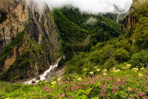 The Valley Of Flowers In India Essential Travel Guide