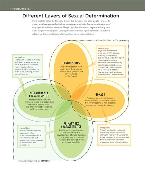 Different Layers Of Sexual Determination