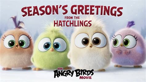 Season Greetings From The Hatchlings Angry Bird Movie All Angry Birds