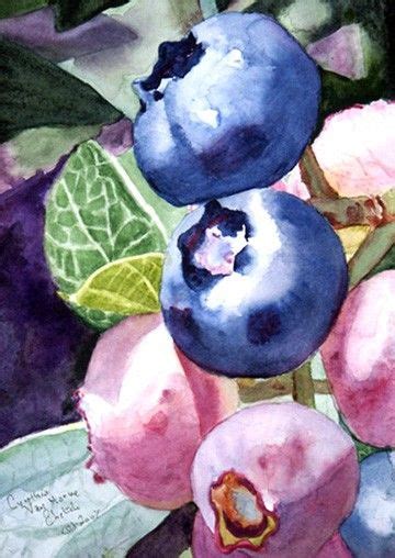 Cynthia VHEhrlich Original Watercolor Painting Blueberries In Pink And