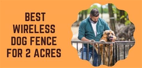 Best Wireless Dog Fence For 2 Acres Dogs Alliance