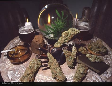 1990's Amsterdam : r/VintageTrees