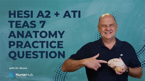Ati Teas Hesi A Anatomy Review Question Mastication Youtube