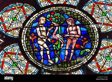 Adam Eve Stained Glass Notre Dame Cathedral Paris France Notre Dame