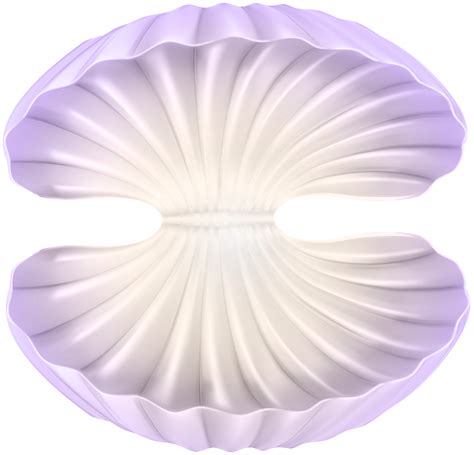 Shell Clipart Art Deco Shell Art Deco Transparent Free For Download On