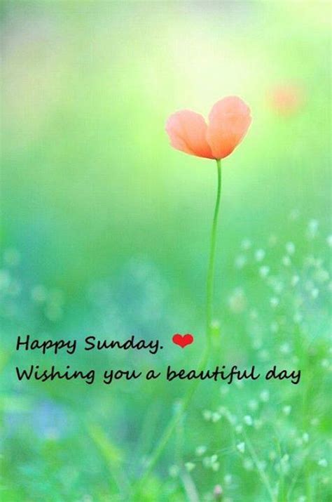 Happy Sunday Wishing You A Beautiful Day Pictures Photos