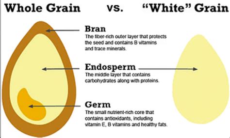 Why Is Brown Bread Considered Healthier Than White Bread Quora