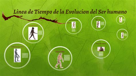 Linea De Tiempo De La Evolucion Del Ser Humano By Josue Salazar Chaves