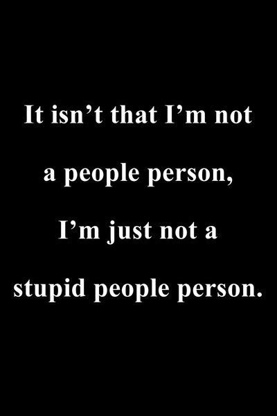 Stupid Funny Quotes And Sayings Quotesgram