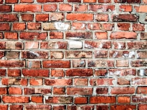 Fondo De Ladrillos Pasi N Por La Fotograf A Brick Wallpaper Brick