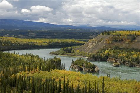 Why The Yukon River Is So Valuable Wwf Blog