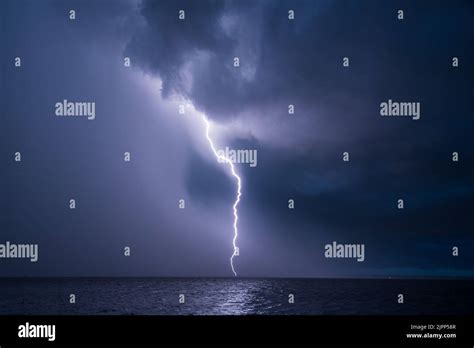 Lightning bolts strike during a thunderstorm in Florida Stock Photo - Alamy