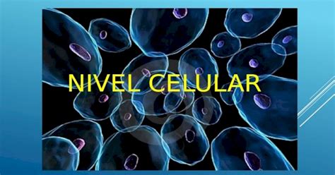 Nivel Celular Biología Contemporánea Pptx Powerpoint
