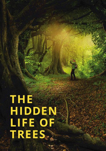 The Hidden Life Of Trees Pathé Thuis